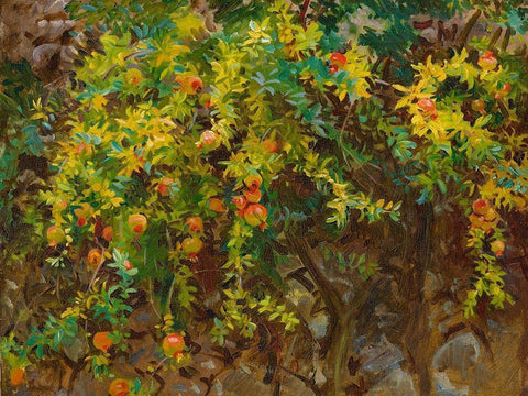 Pomegrantes, Majorca, 1908 Black Ornate Wood Framed Art Print with Double Matting by Sargent, John Singer