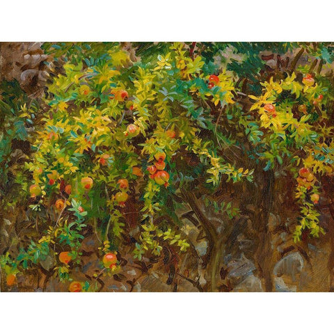 Pomegrantes, Majorca, 1908 Gold Ornate Wood Framed Art Print with Double Matting by Sargent, John Singer