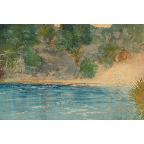 Blue Spring, Florida White Modern Wood Framed Art Print by Homer, Winslow