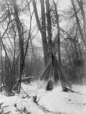 In the forest White Modern Wood Framed Art Print with Double Matting by Curtis, Edward