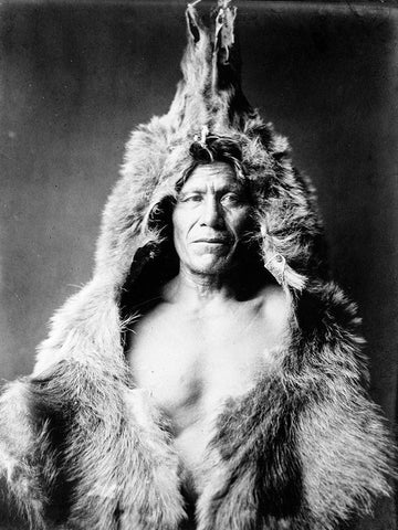 Bears Belly, Arikara Indian, wearing bearskin White Modern Wood Framed Art Print with Double Matting by Curtis, Edward