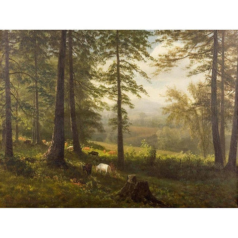 View to a Clearing White Modern Wood Framed Art Print by Bierstadt, Albert