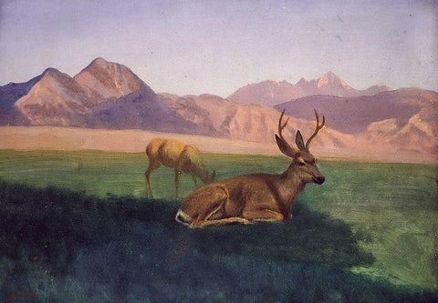 Deer White Modern Wood Framed Art Print with Double Matting by Bierstadt, Albert