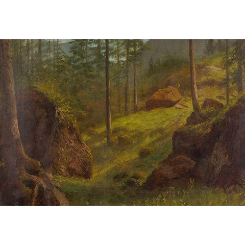 Wooded hillside Black Modern Wood Framed Art Print with Double Matting by Bierstadt, Albert