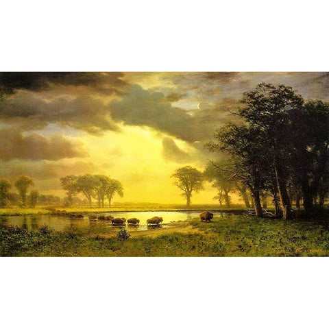 The Buffalo Trail White Modern Wood Framed Art Print by Bierstadt, Albert