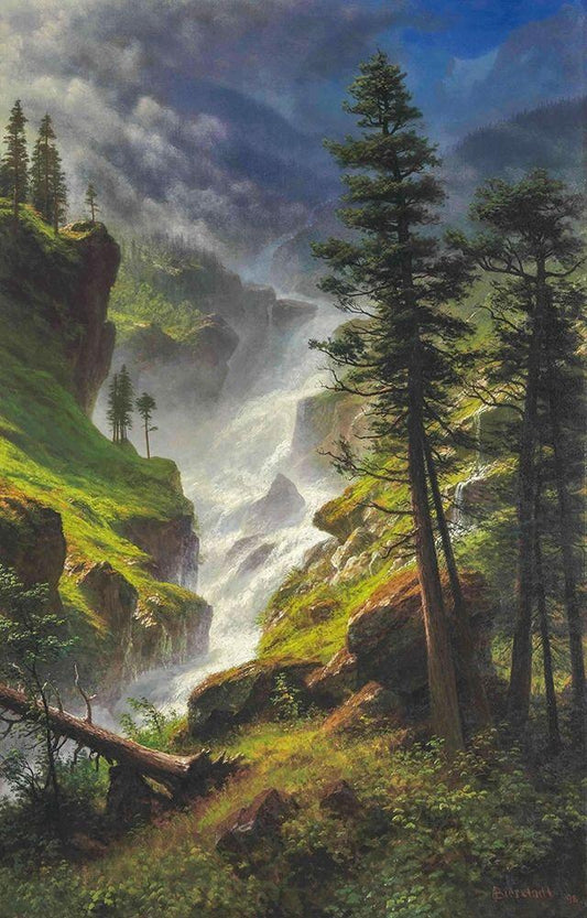 Image Only