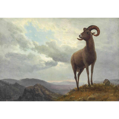 Long Horned Sheep Gold Ornate Wood Framed Art Print with Double Matting by Bierstadt, Albert