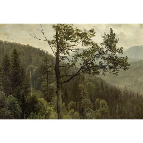 Tree covered mountains White Modern Wood Framed Art Print by Bierstadt, Albert