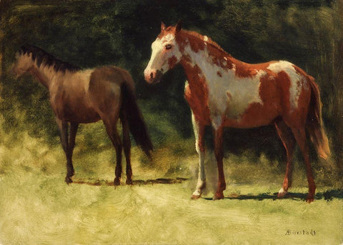 Two Horses White Modern Wood Framed Art Print with Double Matting by Bierstadt, Albert