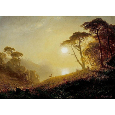 Scene in Yosemite Valley White Modern Wood Framed Art Print by Bierstadt, Albert