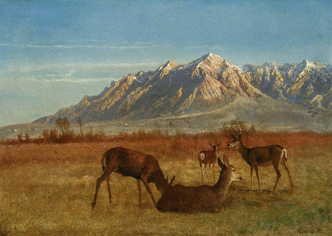 Deer in Mountain Home Black Ornate Wood Framed Art Print with Double Matting by Bierstadt, Albert