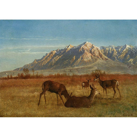 Deer in Mountain Home White Modern Wood Framed Art Print by Bierstadt, Albert