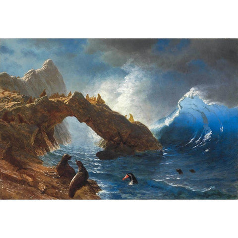 Seals on the Rocks White Modern Wood Framed Art Print by Bierstadt, Albert