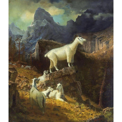 Rocky Mountain Goats Black Modern Wood Framed Art Print with Double Matting by Bierstadt, Albert