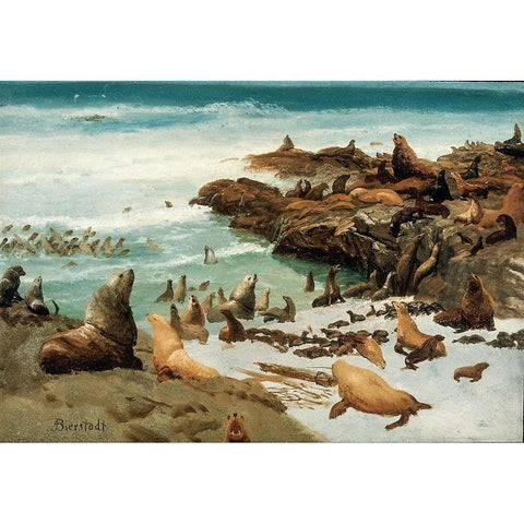 Seal Rocks, Farallons White Modern Wood Framed Art Print by Bierstadt, Albert