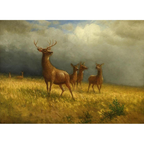 Three Deer and a Stag Gold Ornate Wood Framed Art Print with Double Matting by Bierstadt, Albert