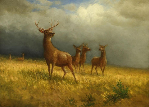 Three Deer and a Stag Black Ornate Wood Framed Art Print with Double Matting by Bierstadt, Albert