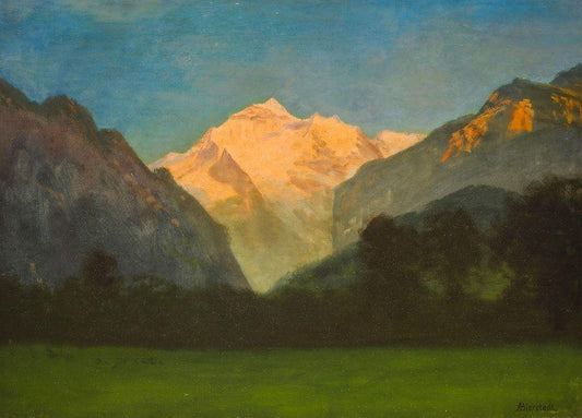 Image Only