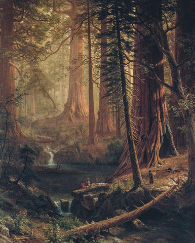 Giant Redwood Trees of California Black Ornate Wood Framed Art Print with Double Matting by Bierstadt, Albert