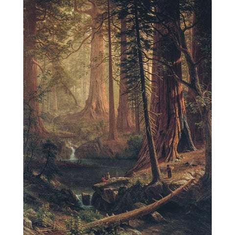 Giant Redwood Trees of California White Modern Wood Framed Art Print by Bierstadt, Albert