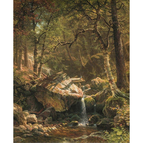 Mountain Brook White Modern Wood Framed Art Print by Bierstadt, Albert