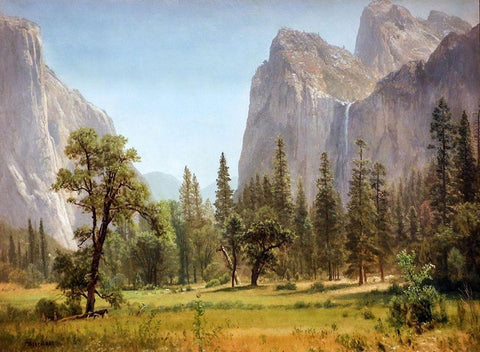 Bridal Veil Falls, Yosemite Valley, California White Modern Wood Framed Art Print with Double Matting by Bierstadt, Albert