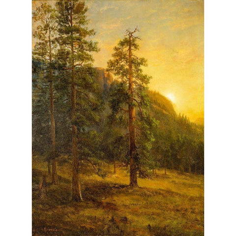 California Redwoods White Modern Wood Framed Art Print by Bierstadt, Albert