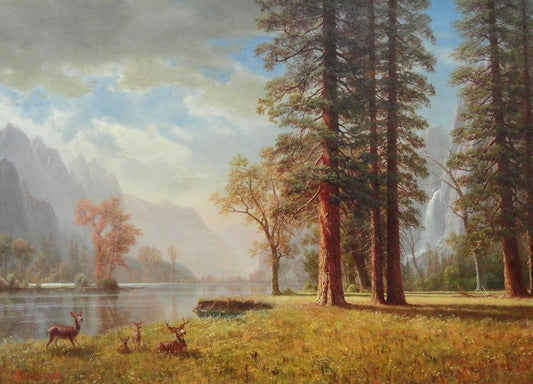 Image Only