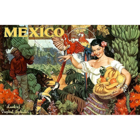 Mexico, Land of Tropical Splendor Black Modern Wood Framed Art Print with Double Matting by Cornwell, Dean