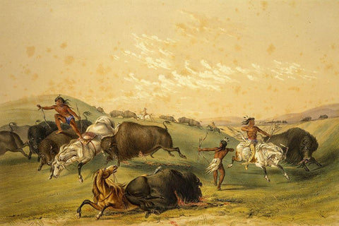 Buffalo Hunt, A Numerous Group White Modern Wood Framed Art Print with Double Matting by Catlin, George