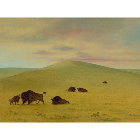 American Pasturage - Prairies of the Platte Black Modern Wood Framed Art Print with Double Matting by Catlin, George