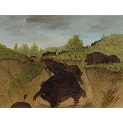 Grizzly Bears Attacking Buffalo Black Modern Wood Framed Art Print with Double Matting by Catlin, George