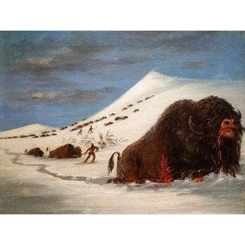 Buffalo Hunt in Snow Shoes Black Modern Wood Framed Art Print with Double Matting by Catlin, George