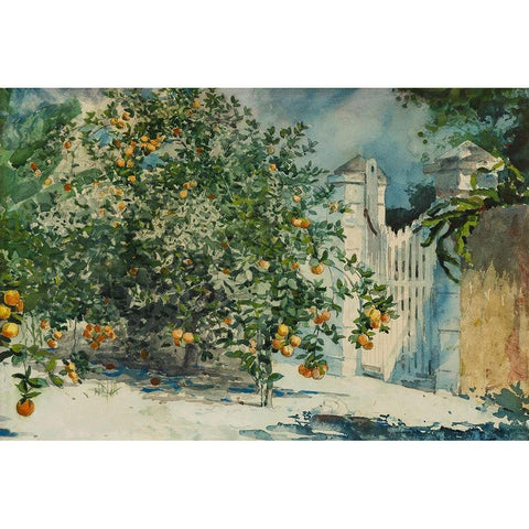 Orange trees and gate Black Modern Wood Framed Art Print with Double Matting by Homer, Winslow