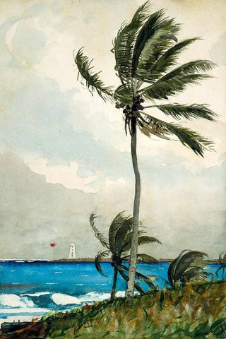 Palm Tree, Nassau Black Ornate Wood Framed Art Print with Double Matting by Homer, Winslow