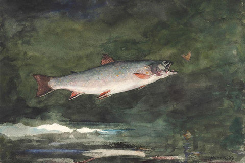 Leaping Trout White Modern Wood Framed Art Print with Double Matting by Homer, Winslow