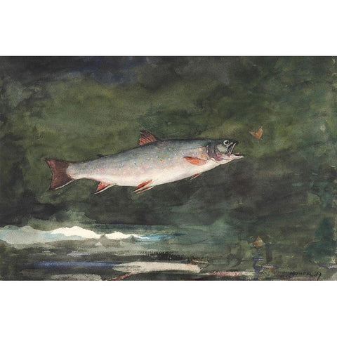 Leaping Trout White Modern Wood Framed Art Print by Homer, Winslow