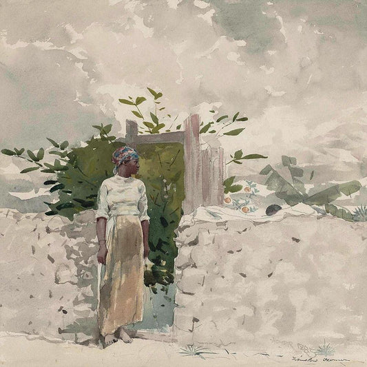 Image Only