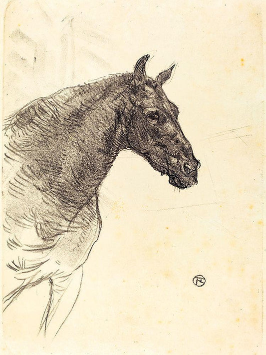 Image Only