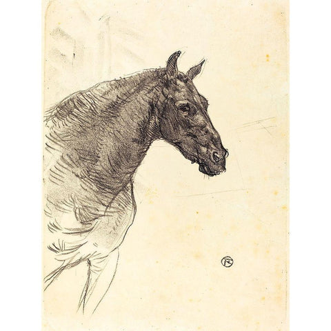 Old Horse Black Modern Wood Framed Art Print with Double Matting by Toulouse-Lautrec, Henri de