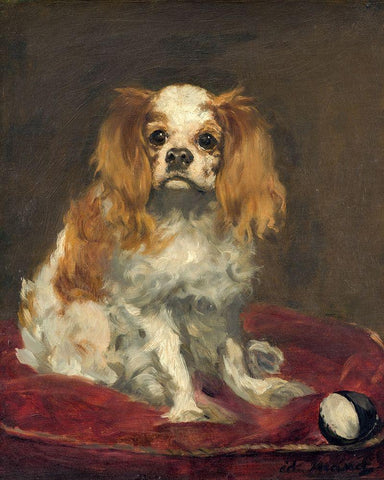 A King Charles Spaniel Black Ornate Wood Framed Art Print with Double Matting by Manet, Edouard