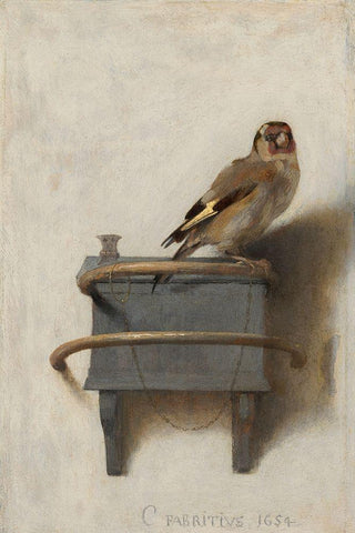 The Goldfinch White Modern Wood Framed Art Print with Double Matting by Fabritius, Carel
