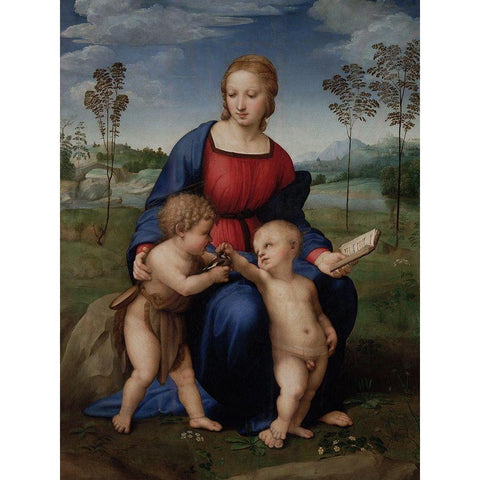 Madonna of the Goldfinch Black Modern Wood Framed Art Print with Double Matting by Raphael