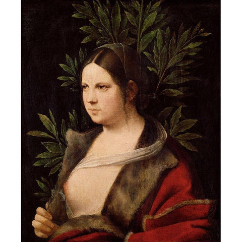 Laura White Modern Wood Framed Art Print by Giorgione