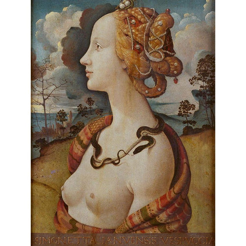 Portrait of Simonetta Vespucci Black Modern Wood Framed Art Print with Double Matting by di Cosimo, Piero