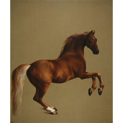 Whistlejacket Black Modern Wood Framed Art Print with Double Matting by Stubbs, George