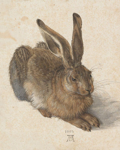 Young Hare Black Ornate Wood Framed Art Print with Double Matting by Durer, Albrecht