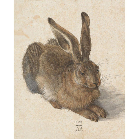 Young Hare Gold Ornate Wood Framed Art Print with Double Matting by Durer, Albrecht