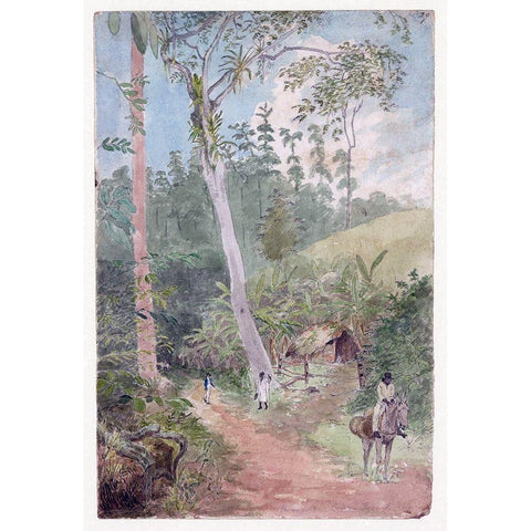 Plantain Walk, Jamaica Black Modern Wood Framed Art Print with Double Matting by Berryman, William