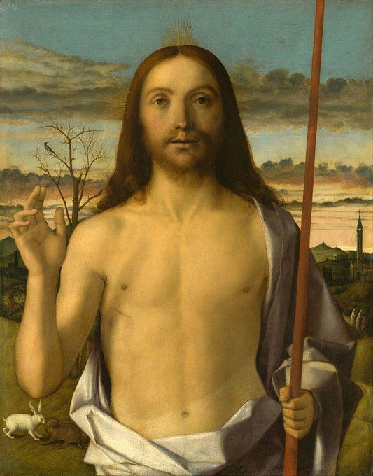 Image Only